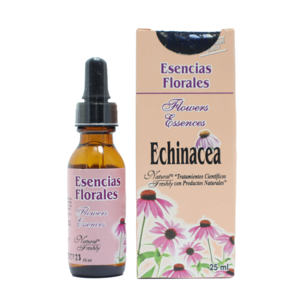 Echinacea