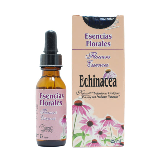 Echinacea