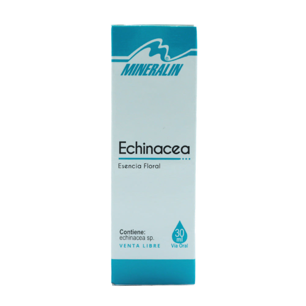 Echinacea