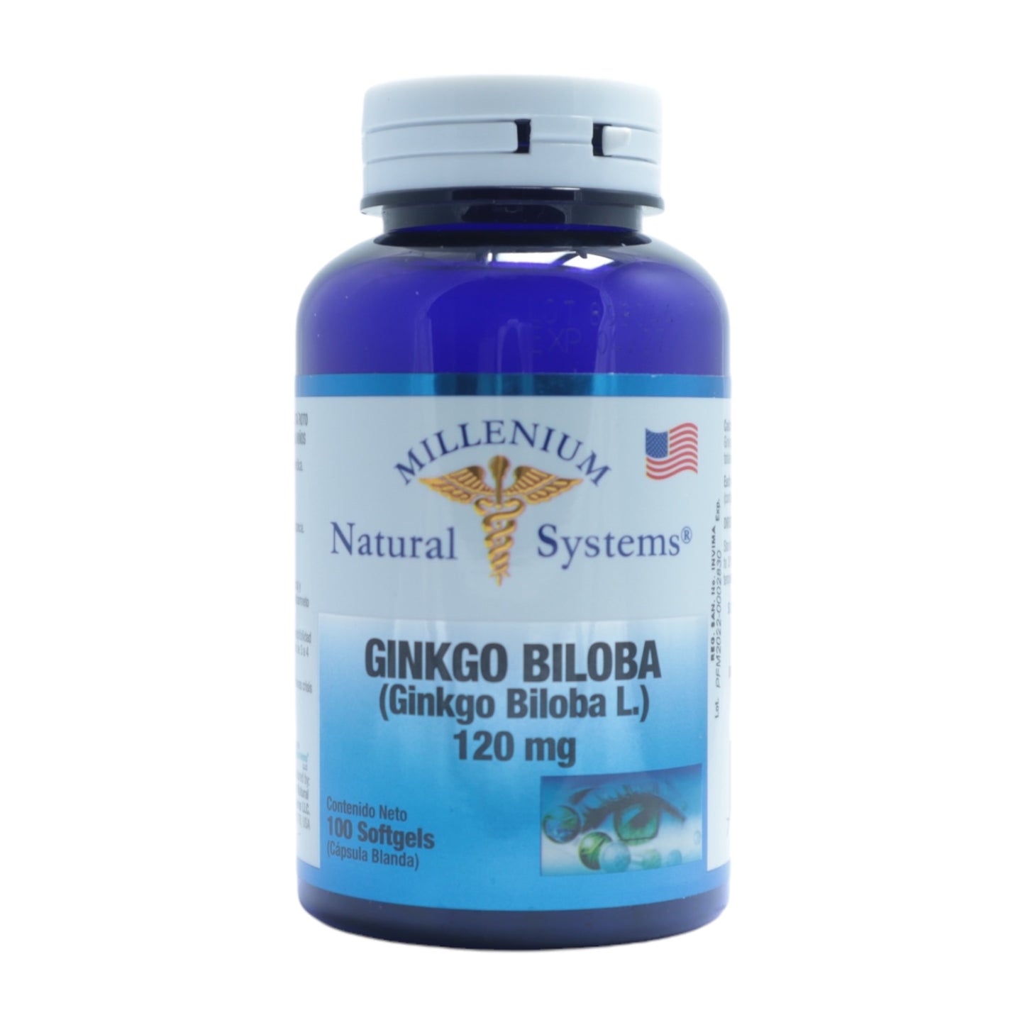 Ginkgo Biloba 120 mg